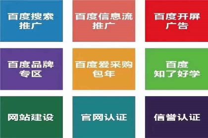 百度竞价推广的优化策略：一家科技公司的成功经验